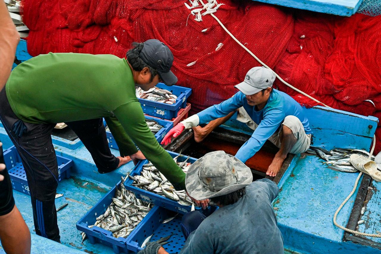 អាហារសមុទ្រ-fishing.jpg