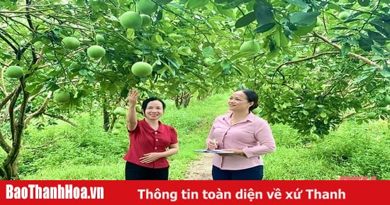 Hỗ trợ hội viên phụ nữ phát triển kinh tế