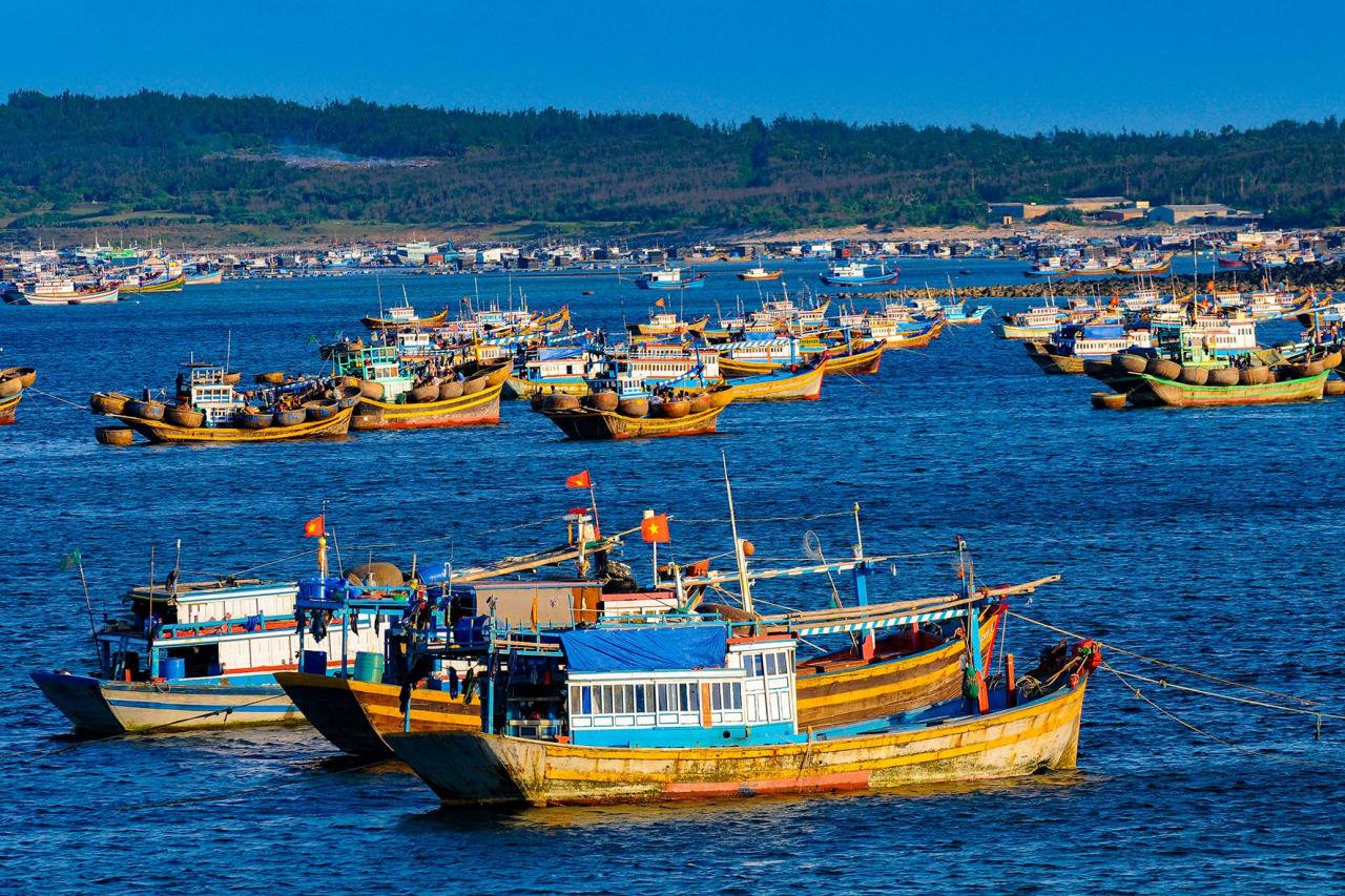 Fischerboot in Phu Quy - Foto n.-lan-16-.jpg