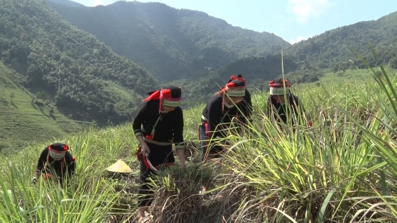 (BCĐ - Serie de 3 artículos del Comité Directivo Provincial de Cao Bang) Solución a la necesidad de tierras residenciales y tierras de producción para las minorías étnicas en Cao Bang: Muchas dificultades debido a la falta de fondos para tierras (Artículo 2) 1