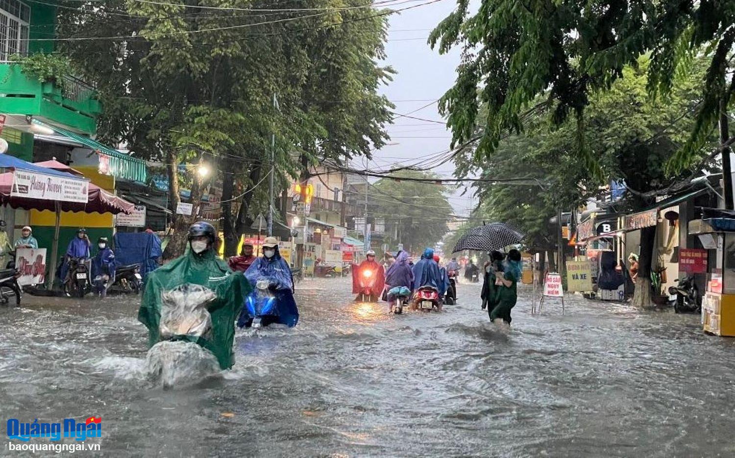 Segera tinjau dan periksa pengerukan sistem drainase dan pembersihan penutup lubang got.