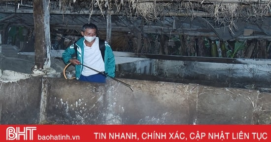 Dịch tả lợn châu Phi diễn biến phức tạp, nhiều hộ dân vẫn tự ý mua thuốc điều trị