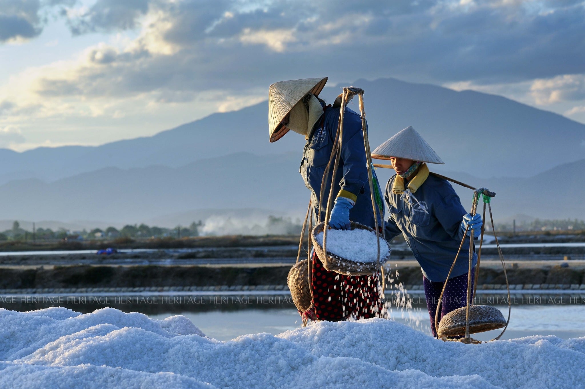 No image description.