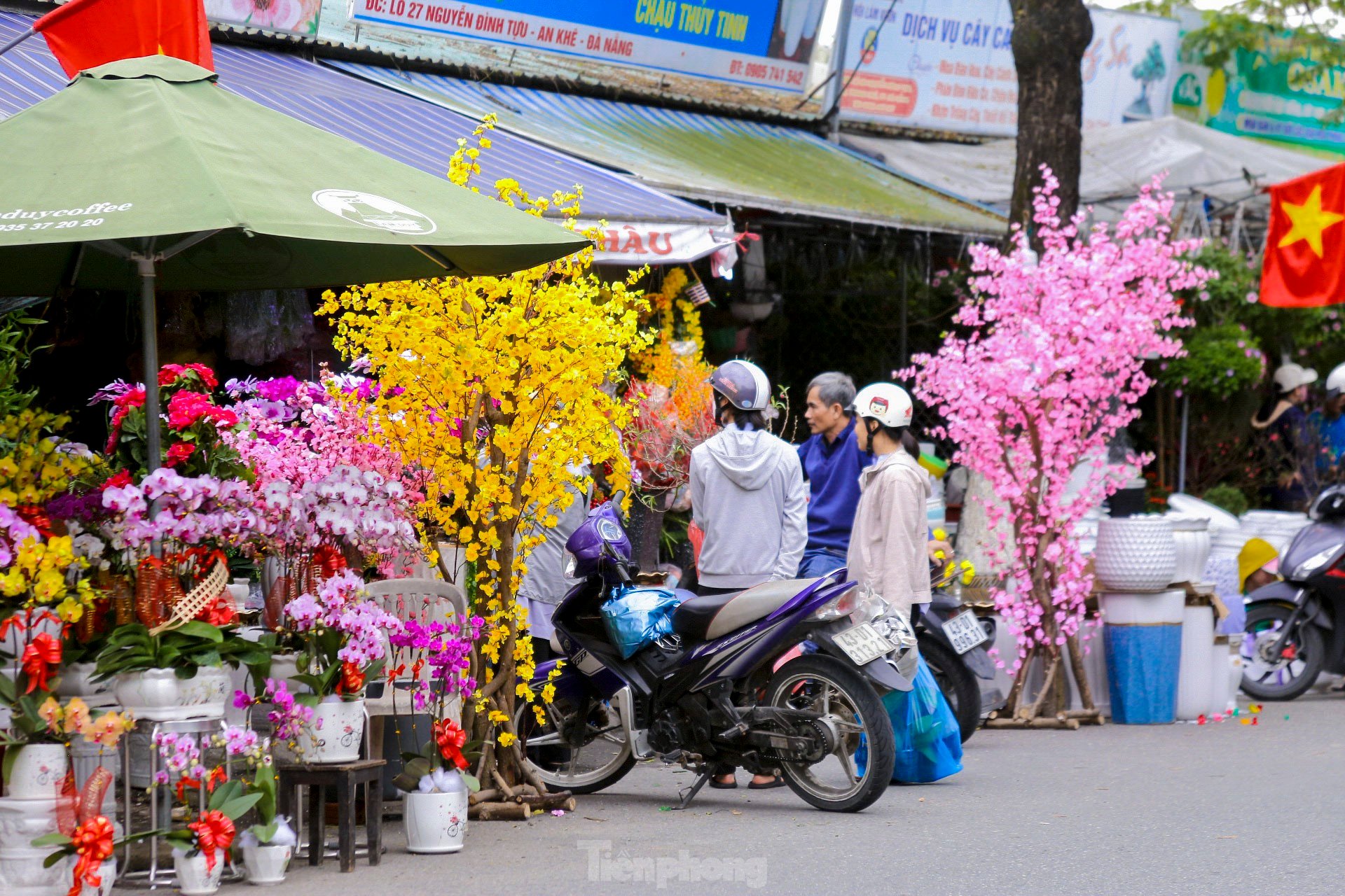 Rộn ràng không khí xuân ở chợ hoa Đà Nẵng ảnh 20