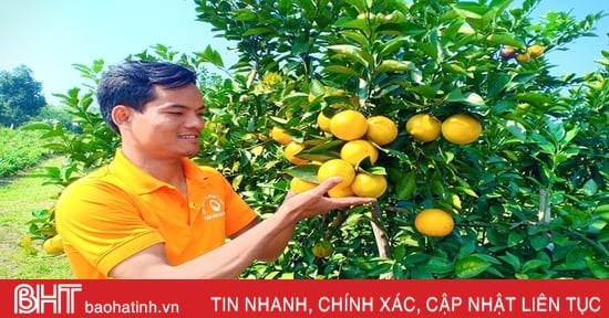 Sản phẩm OCOP ở Can Lộc “đắt hàng” trong dịp tết