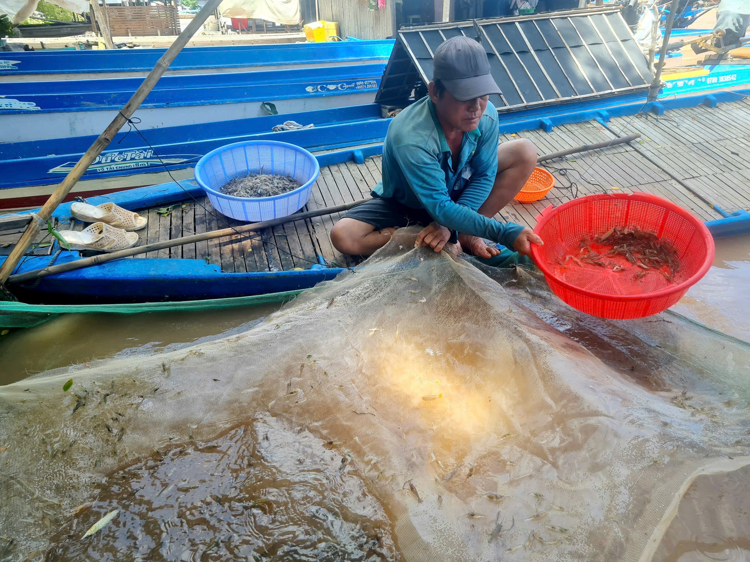 Nước tràn đồng, nông dân An Giang thong thả bơi xuồng bắt cá tôm- Ảnh 4.