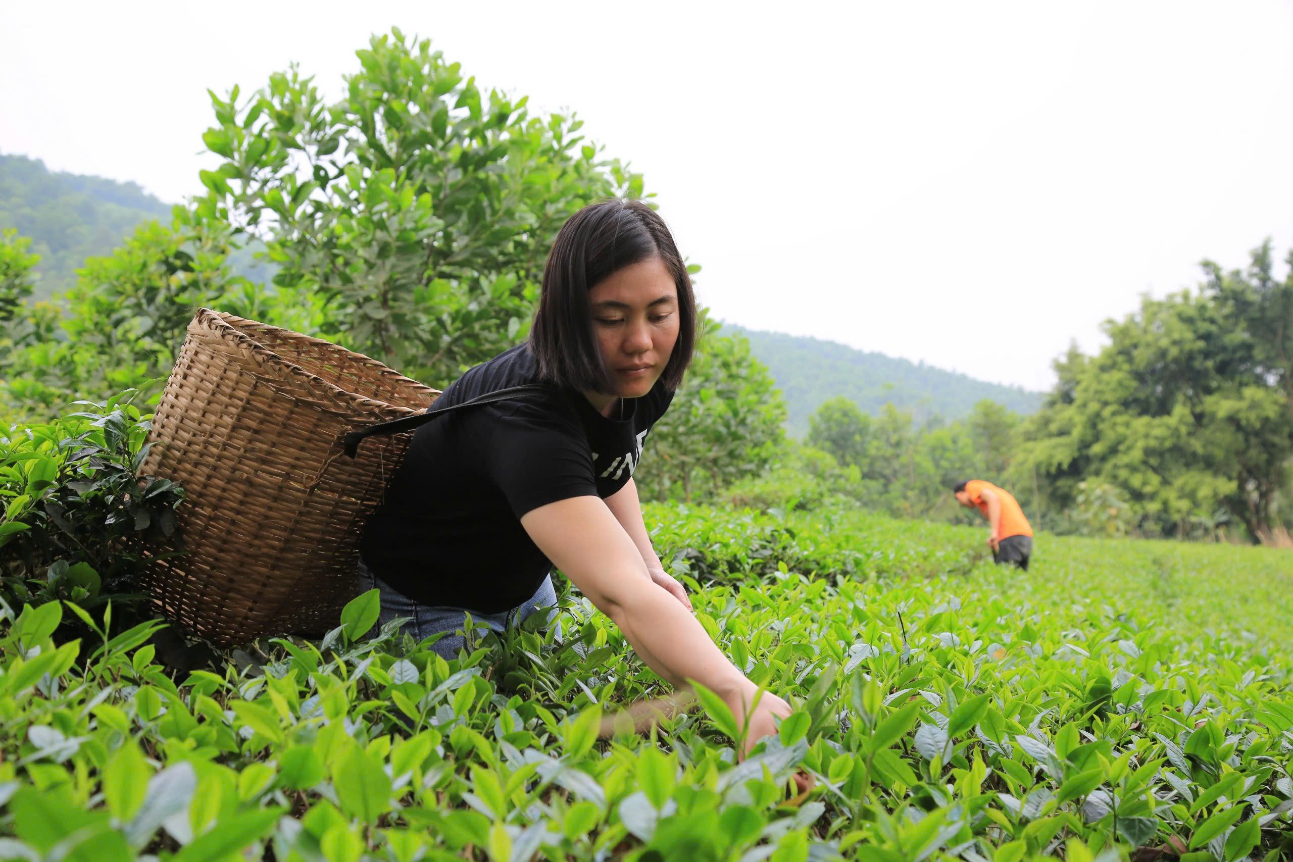 TYM đạt 2 giải thưởng trong Liên hoan phim cộng đồng Quốc tế- Ảnh 2.