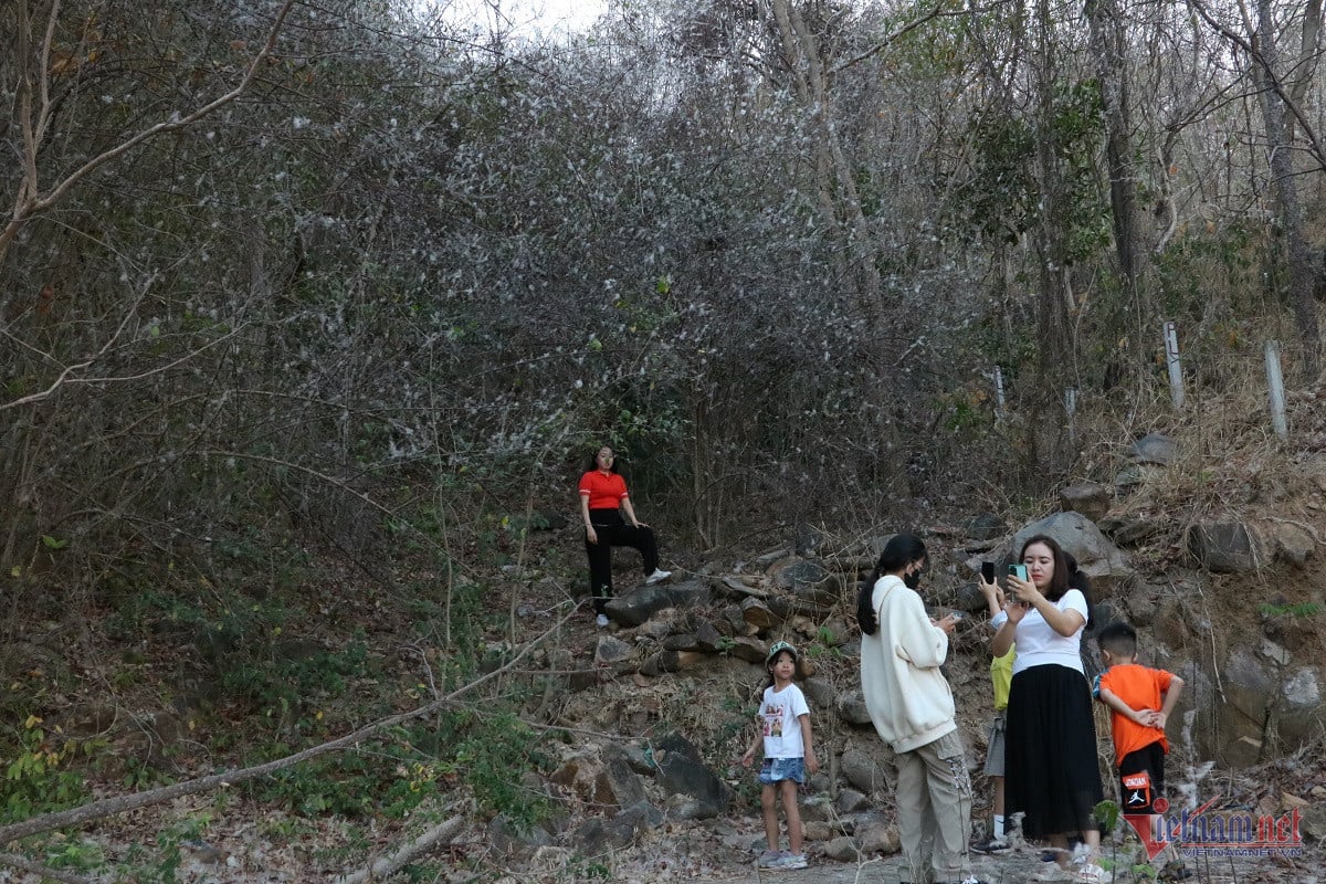 W-bong-gon-o-vung-tau-9-1.jpg