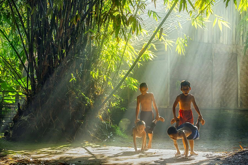 Nhớ bóng tre làng