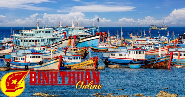 A finales de octubre, Binh Thuan ya no tendrá barcos "3 no".