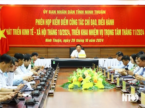 UBND tỉnh triển khai nhiệm vụ trọng tâm tháng 11