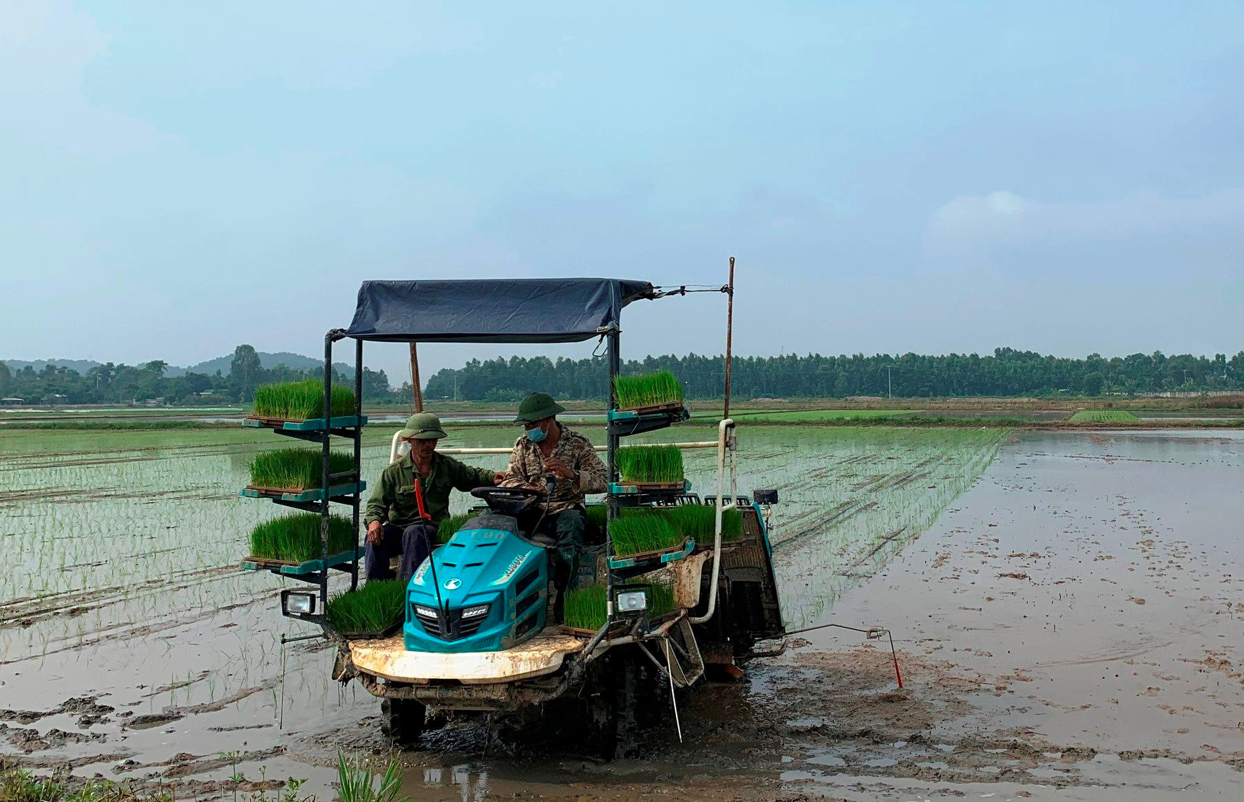 The rate of mechanization in rice production in Hai Duong ranks first in the Red River Delta.