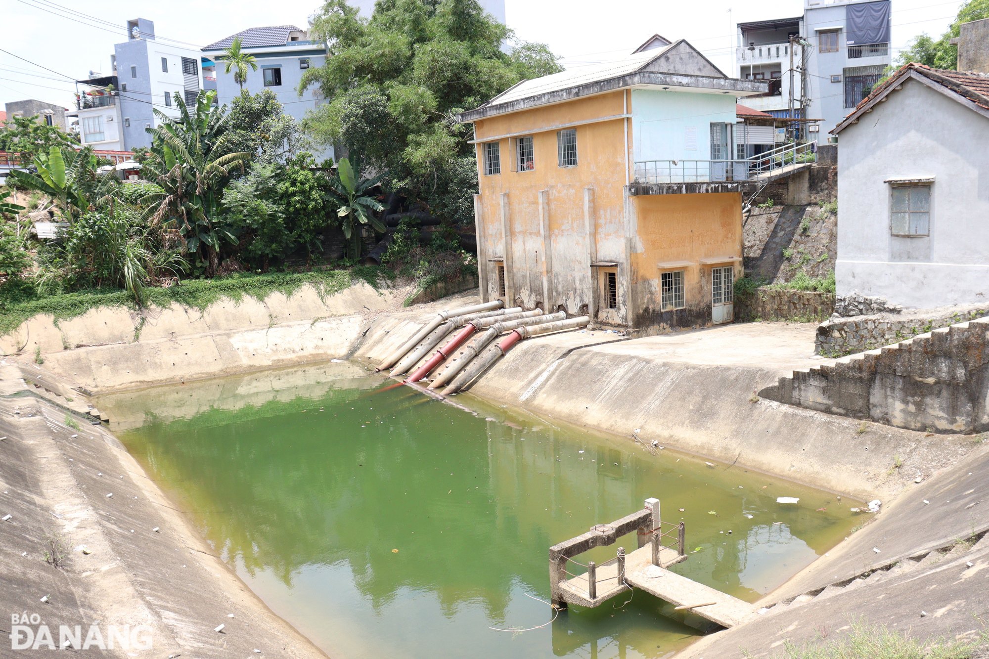 L'eau d'irrigation de la station de pompage de Tuy Loan est contaminée par du sel, ce qui fait que de nombreuses rizières de la commune de Hoa Nhon (district de Hoa Vang) et du quartier de Hoa Tho Tay (district de Cam Le) manquent d'eau d'irrigation. Photo: HOANG HIEP