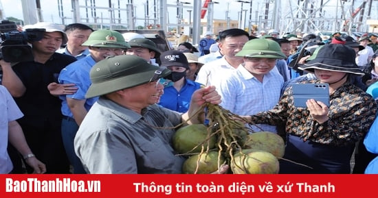 6 wertvolle Lehren aus dem 500-kV-Leitungsprojekt, Stromkreis 3, von Quang Trach nach Pho Noi