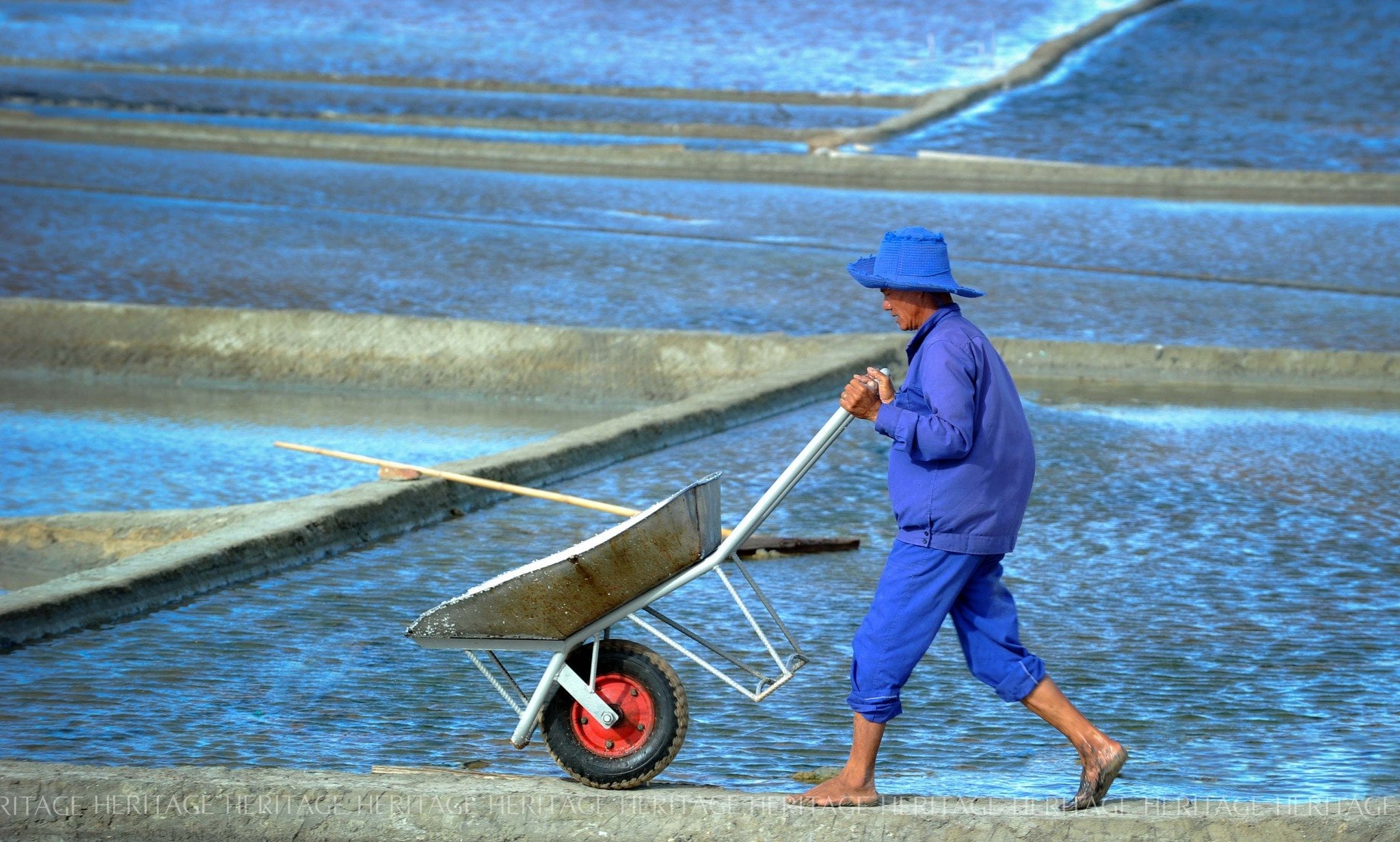 No image description.