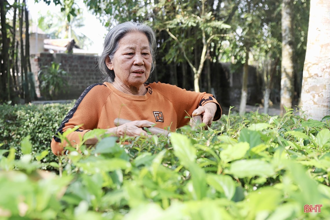 Grenzgemeinde Ha Tinh prosperiert dank neuer ländlicher Gebiete