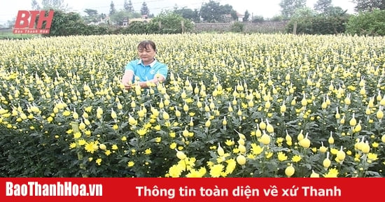 Những dấu ấn thành tựu