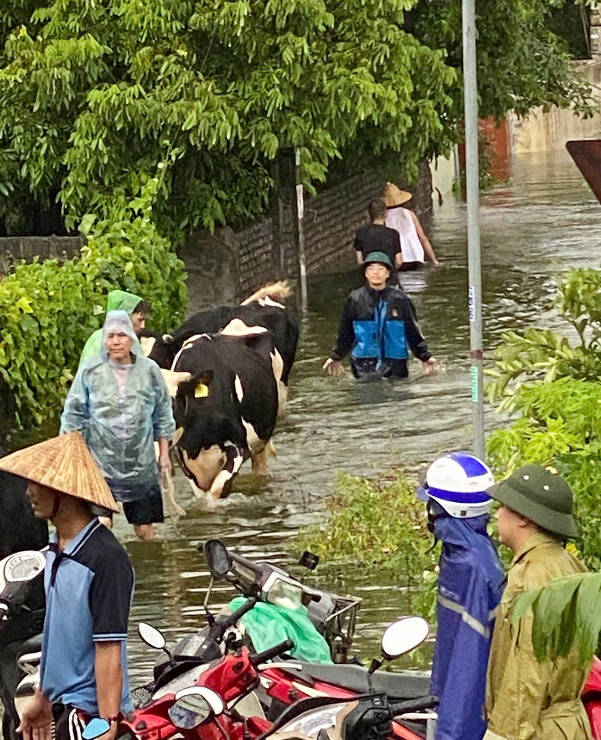 Tuổi trẻ Hưng Yên 'dầm mưa' chạy lũ với nông dân ảnh 6