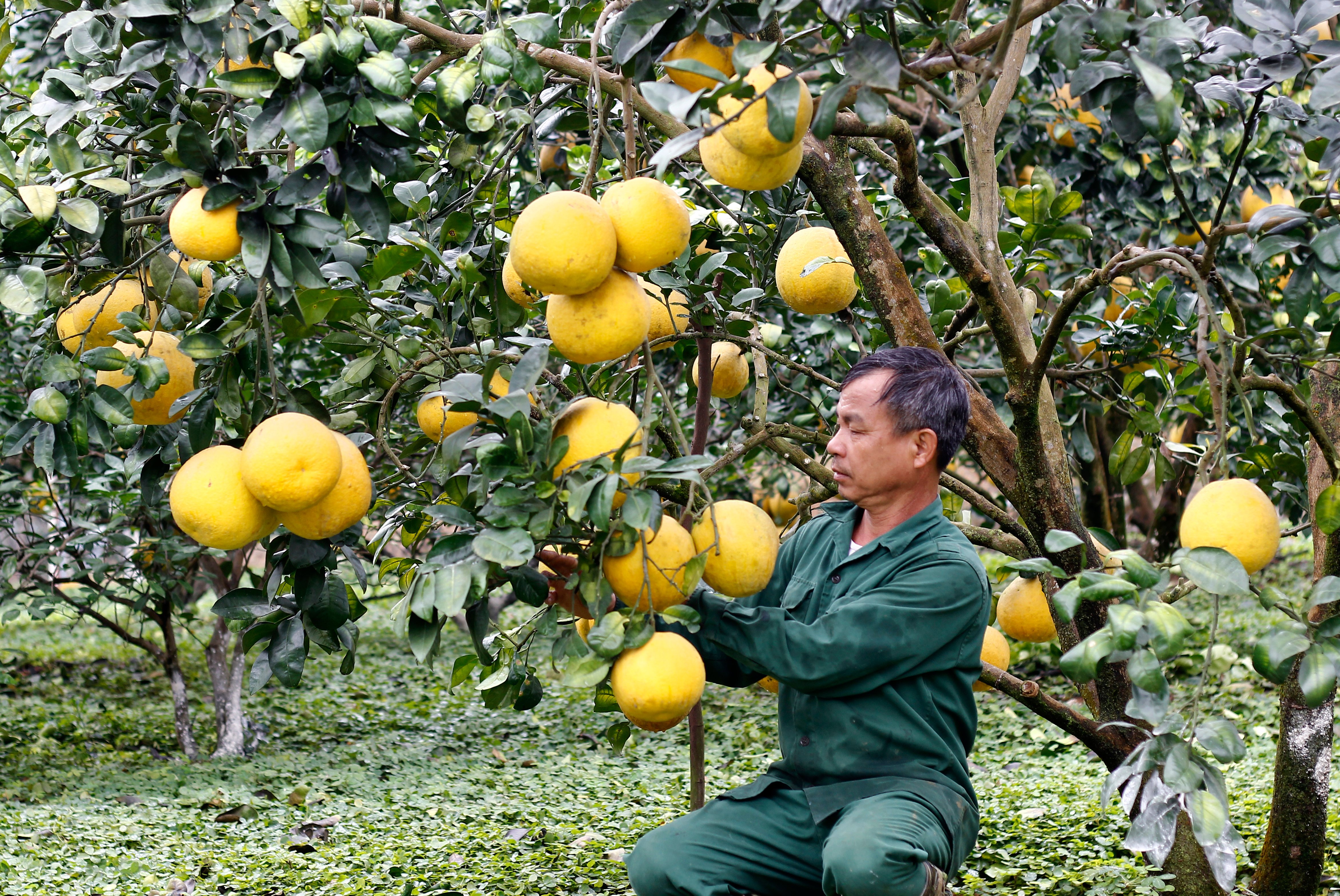 “Mình vì mọi người, mọi người vì mình”