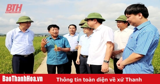 Vững bước trên hành trình xây dựng huyện NTM nâng cao