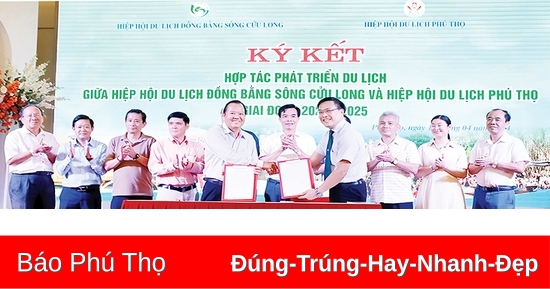 Đổi mới tư duy, liên kết hiệu quả, phát triển bền vững