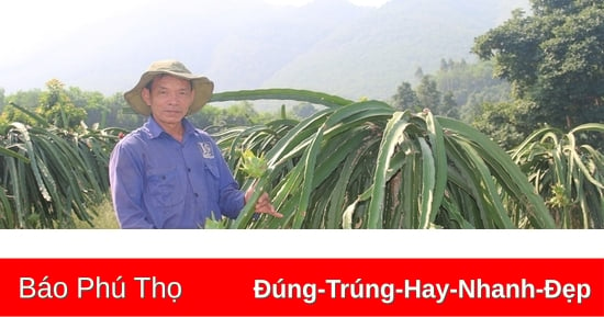 Làm giàu trên quê hương