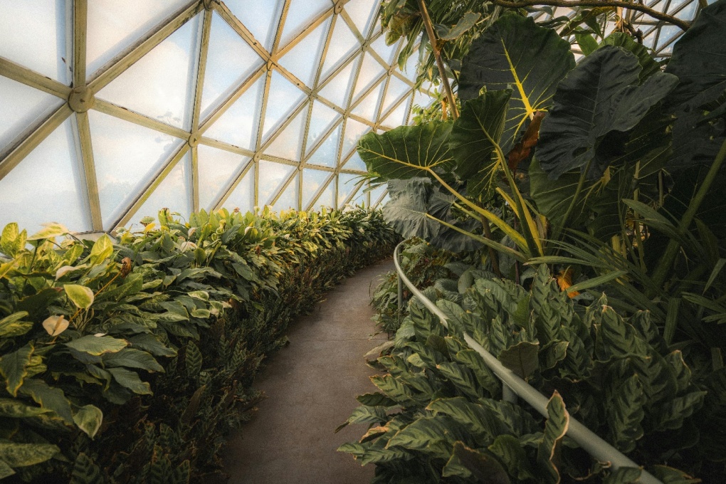 5 jardins botaniques attirant les touristes à Brisbane, Australie