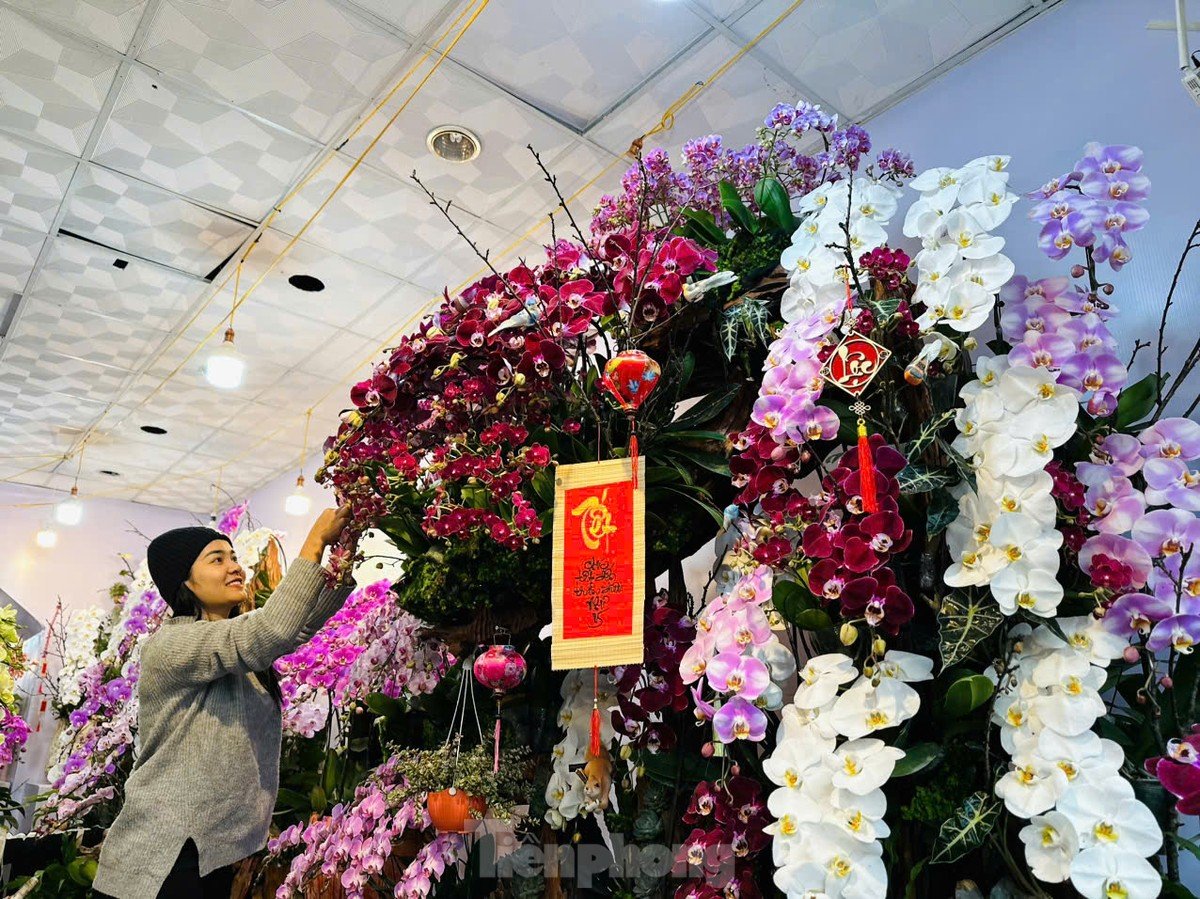 Pot d'orchidée unique avec 300 branches sur bois flotté, au prix de centaines de millions de dong photo 5