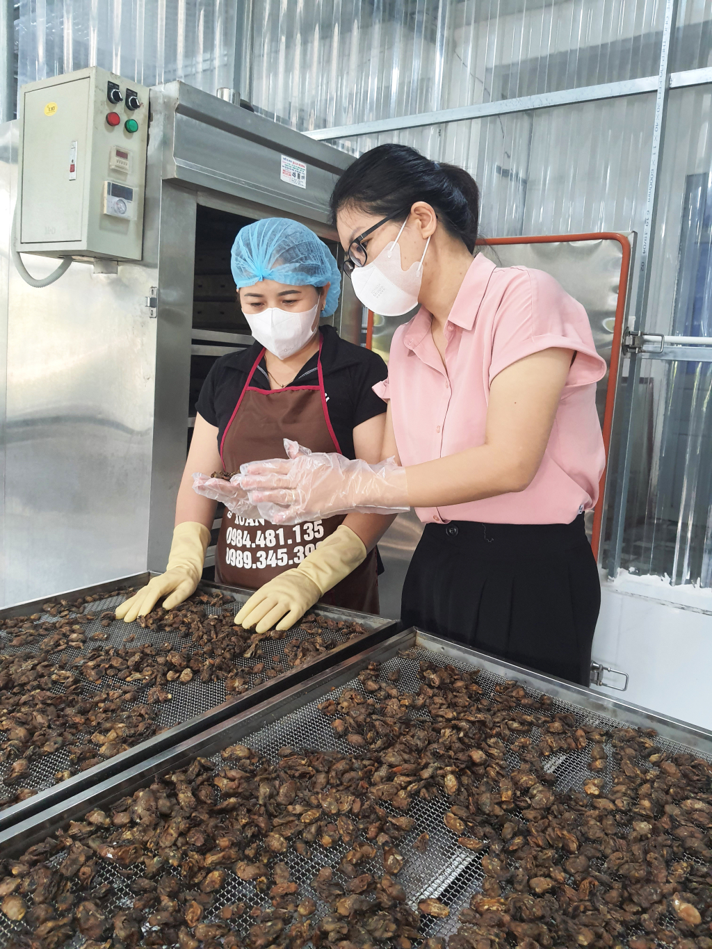 Frau Do Thi Thuy (rechts), Direktorin der Van Don Seafood Company Limited, prüft die Qualität einer frisch getrockneten Partie Austern, um sie für die Verarbeitung zu Garnelen vorzubereiten.