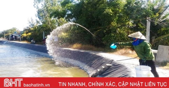 Providing chemicals to treat white spot disease on shrimp in Thach Ha