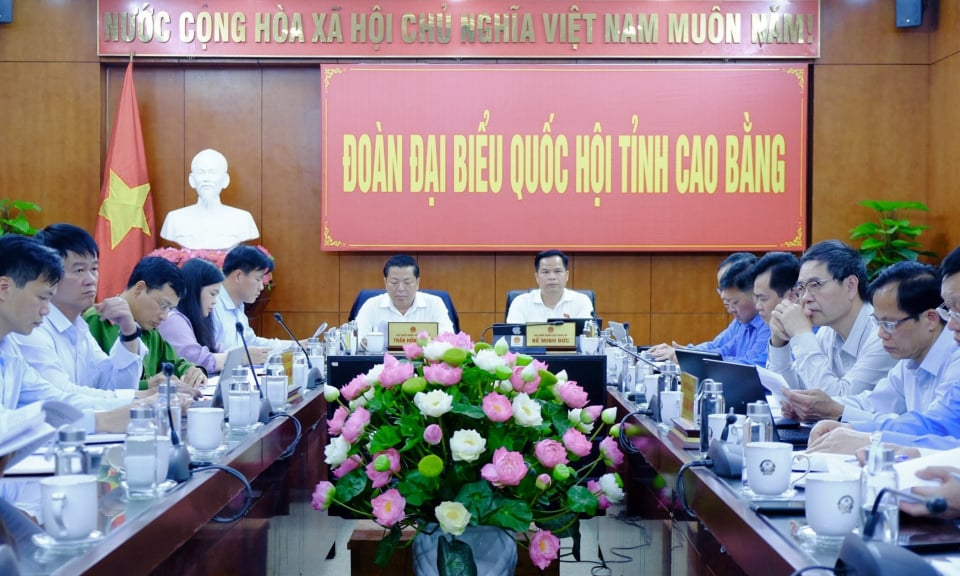 Ủy ban Thường vụ Quốc hội tiến hành phiên chất vấn về lĩnh vực ngoại giao