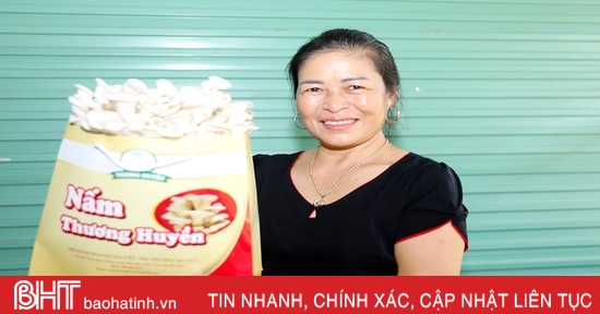 Nấm bào ngư OCOP 3 sao đầu tiên ở thị xã Kỳ Anh