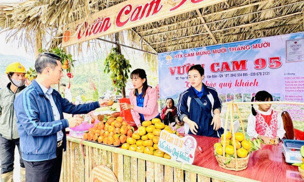 Hấp dẫn lễ hội Cam Vân Đồn