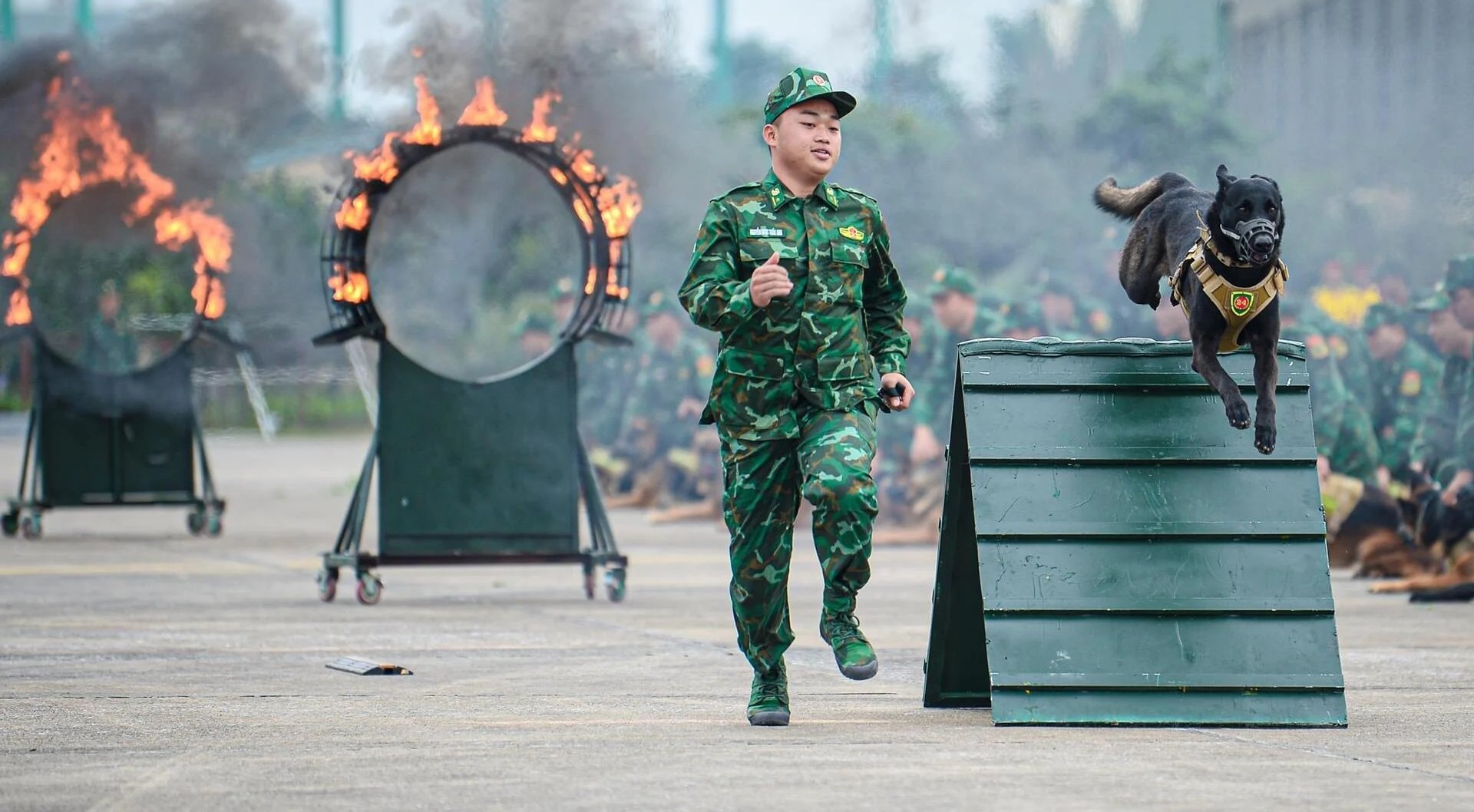 Điều đặc biệt đội quân khuyển tham gia trình diễn tại Triển lãm Quốc phòng quốc tế Việt Nam