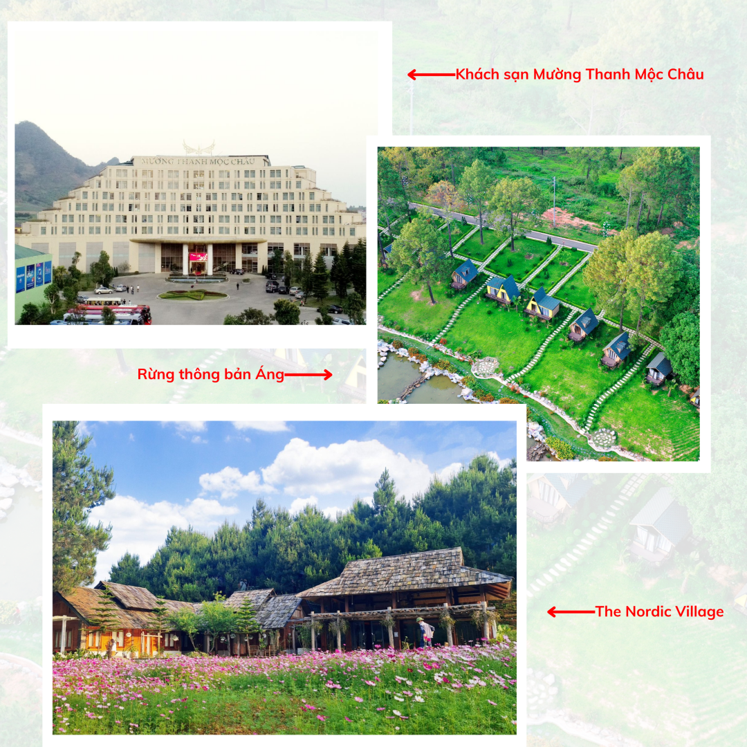 https://baonamdinh.vn/file/e7837c02816d130b0181a995d7ad7e96/052024/1_20240510180153.png