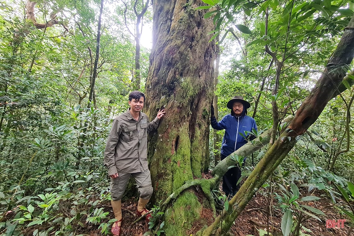 Discover the hidden beauty of Vu Quang National Park