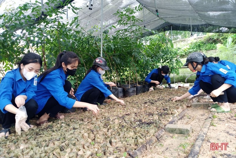 សមាជិកសម្ព័ន្ធយុវជន Ha Tinh ជាង 4,000 នាក់បានឆ្លើយតបទៅនឹងថ្ងៃអាទិត្យបៃតងលើកទី 4