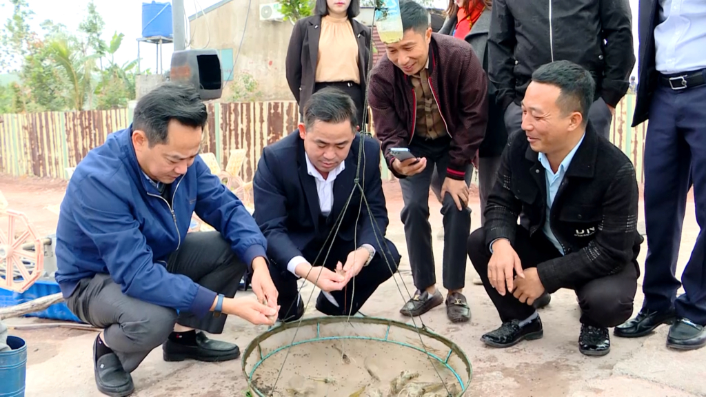 Les dirigeants du Département de l'agriculture et du développement rural ont visité le modèle d'élevage de crevettes de la famille de M. Pham Quang Man, commune de Hai Lang, district de Tien Yen.