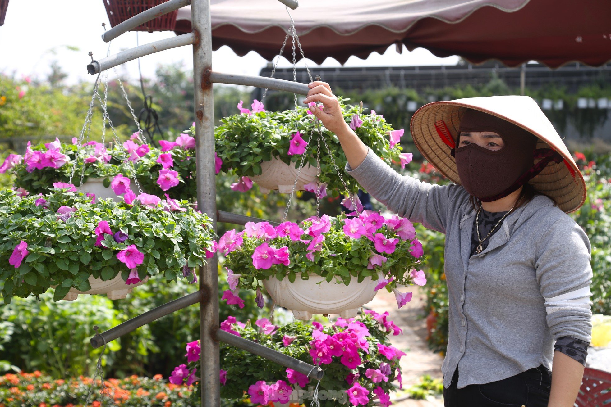 Ganándose la vida en el pueblo de las flores, con la esperanza de que llegue un cálido Tet, foto 10