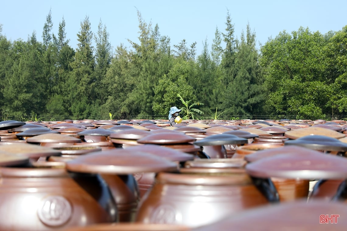 Traditional fish sauce from a coastal village in southern Ha Tinh is a 