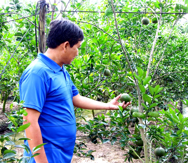 គំរូផលិតកម្មកសិកម្មជាច្រើនក្នុងទិសដៅសុវត្ថិភាព និងបច្ចេកវិទ្យាខ្ពស់នាំមកនូវប្រសិទ្ធភាព។