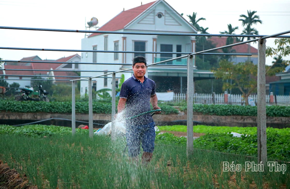 ภาพสีสันสดใสบนทุ่งตูซา