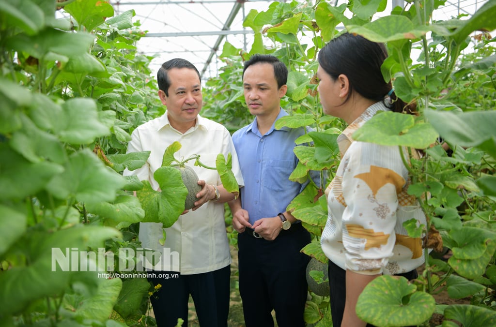 ผู้นำจังหวัดสำรวจรูปแบบการระดมมวลชนอย่างมีทักษะ