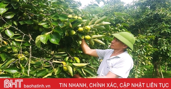 Khởi nghiệp thành công nơi “thâm sơn cùng cốc”