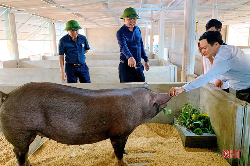 Grupo Guilin: por una agricultura circular y en desarrollo