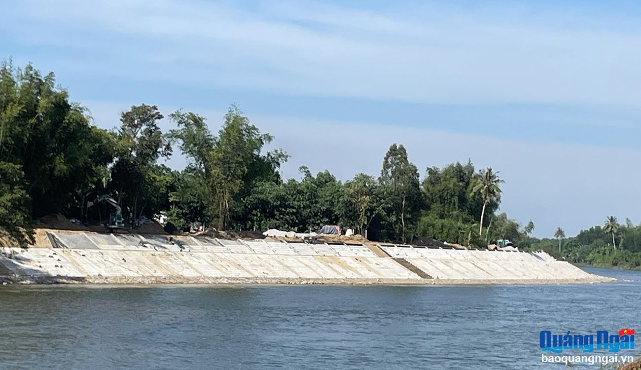El proyecto para superar las consecuencias de los desastres naturales y deslizamientos de tierra en la ribera del río Tra Bong a través de las comunas de Binh Minh y Binh Chuong (Binh Son) se ha completado en un 90%.