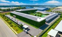 Ruang hijau pabrik investasi Swiss di Binh Duong