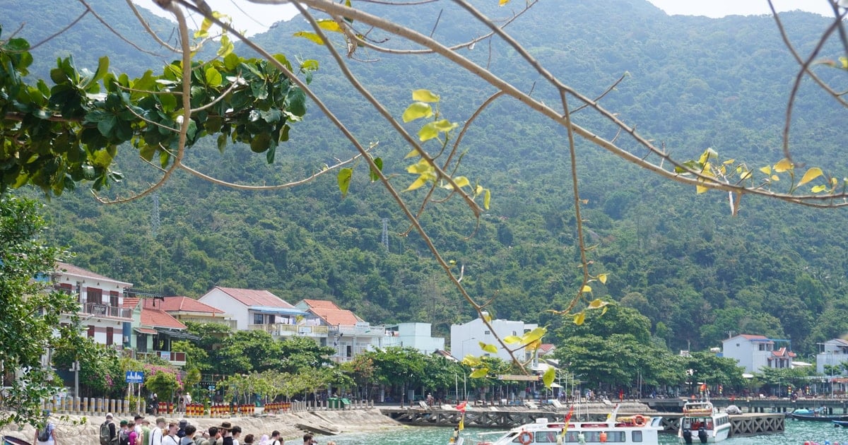 Hoi An se concentre sur l'élimination des difficultés et des obstacles dans le trafic fluvial