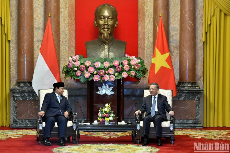 Desarrollo positivo de la asociación estratégica entre Vietnam e Indonesia (foto 2)