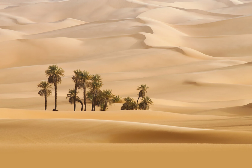 Ả Rập Saudi là đất nước không có sông